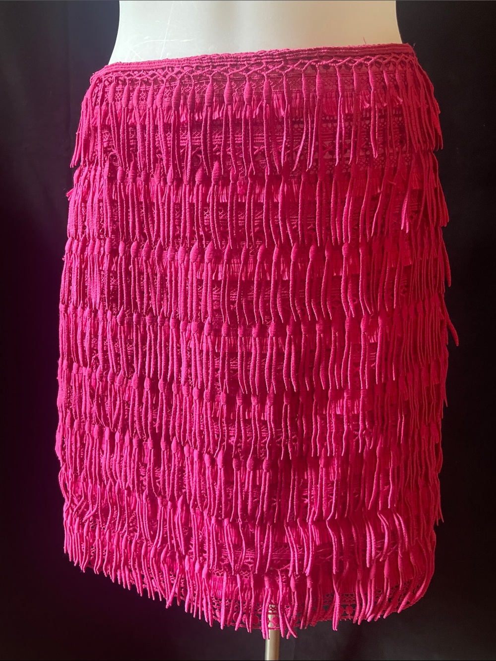 Anthropologie Hot Pink Fringe Skirt by Letmebe *NWT*